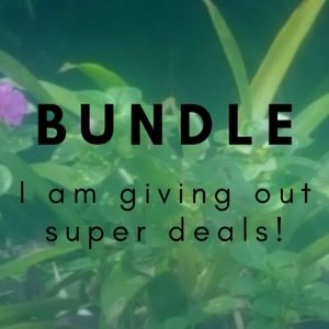 Bundle for Discounts!